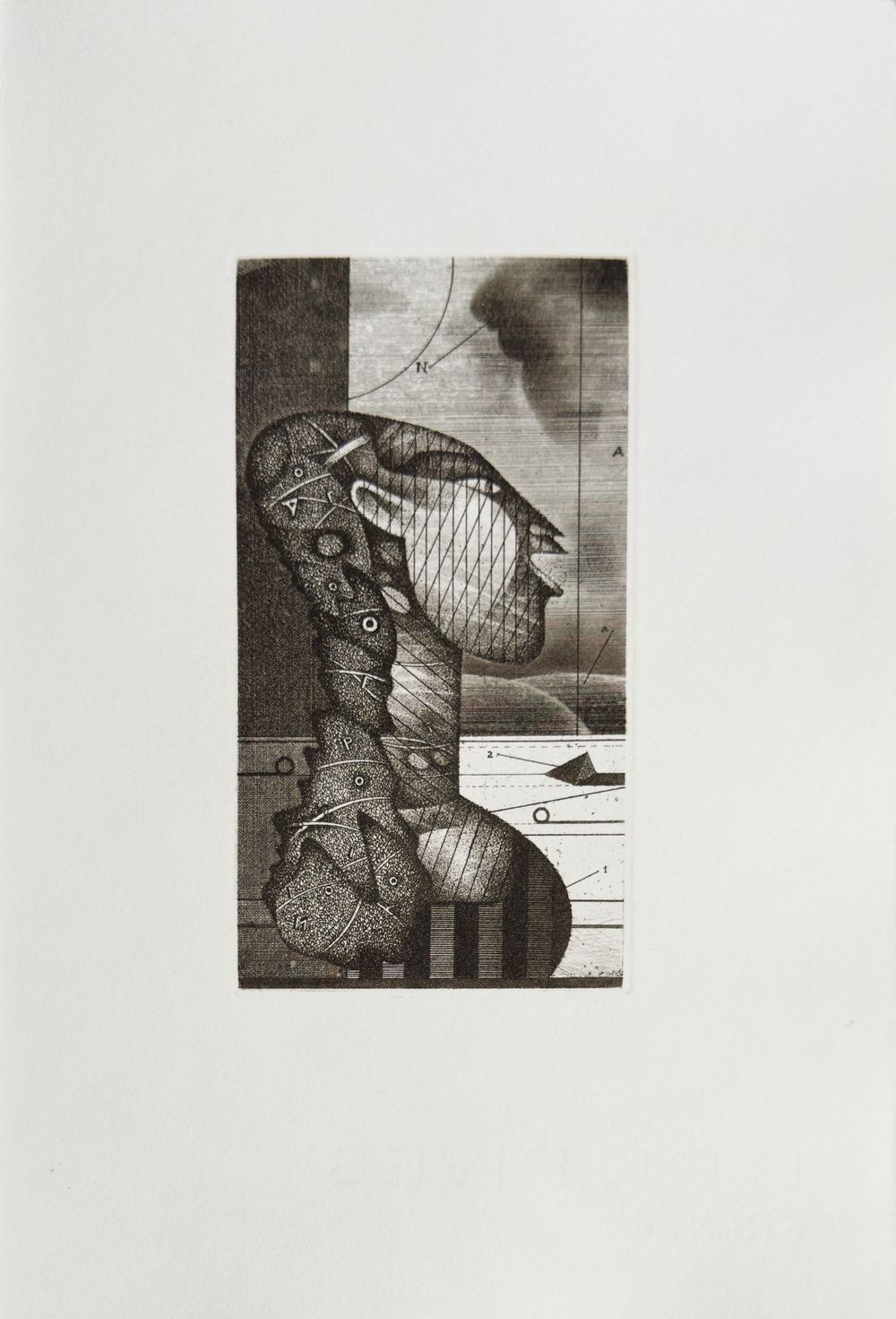 L'Oiseleuse (3 etchings full page + 6 in the text all unsigned) 