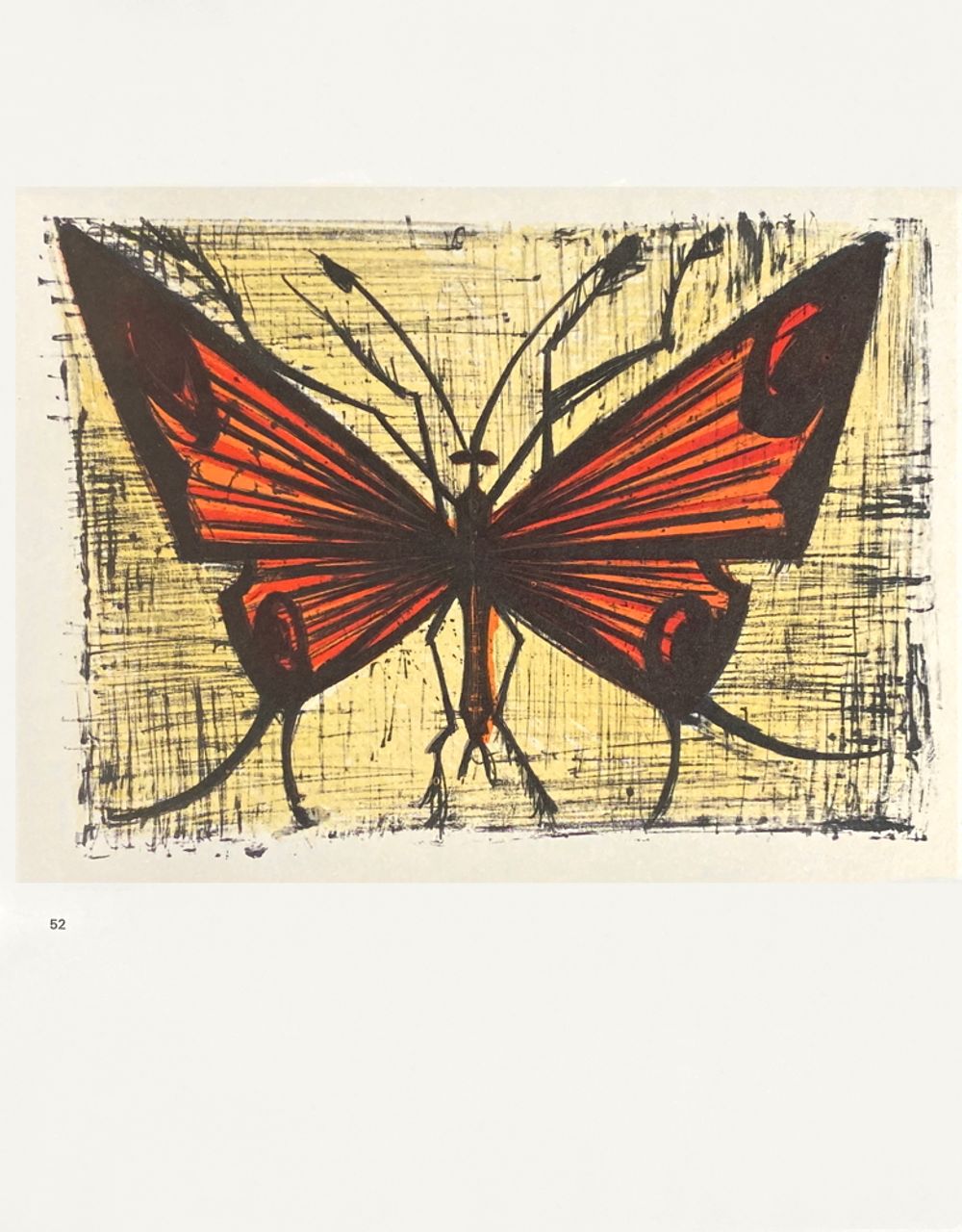 BL serie 52 - Papillon orangé