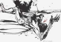 Les Noyers de l'Altenburg 07