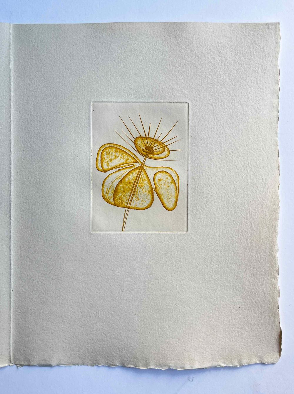 Floréal - 7 etchings