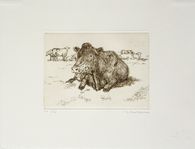 Vaches au pré II