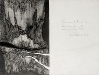 Estampe 52 (avec poème de Pierre Teilhard de Chardin)