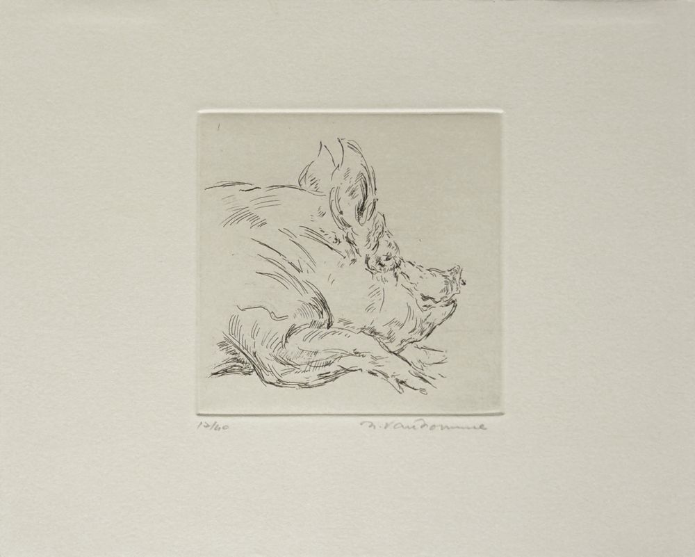 Le cochon