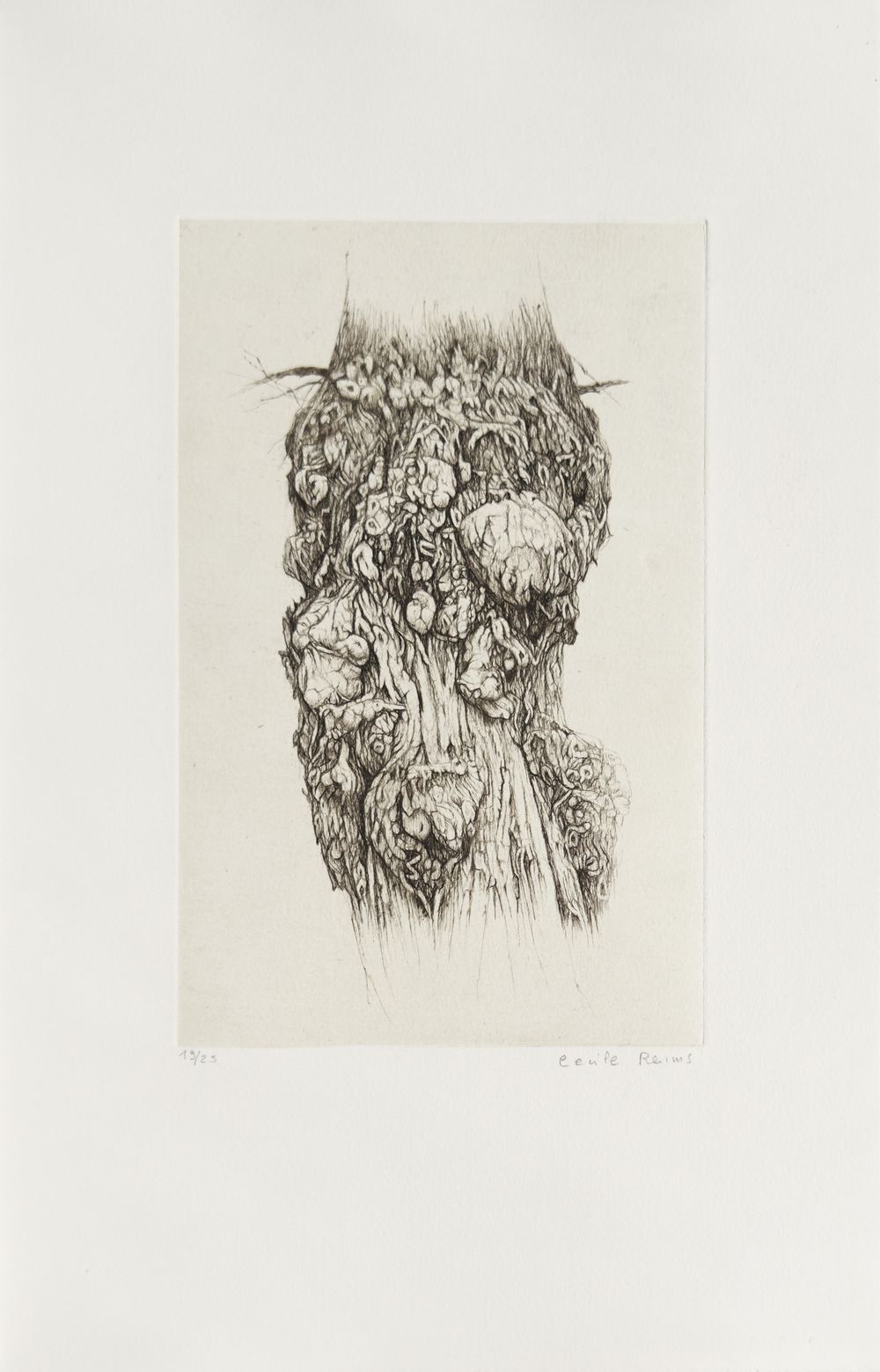 Plaies d'arbres (portfolio de 10 gravures)