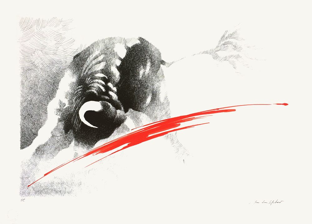 Toros II
