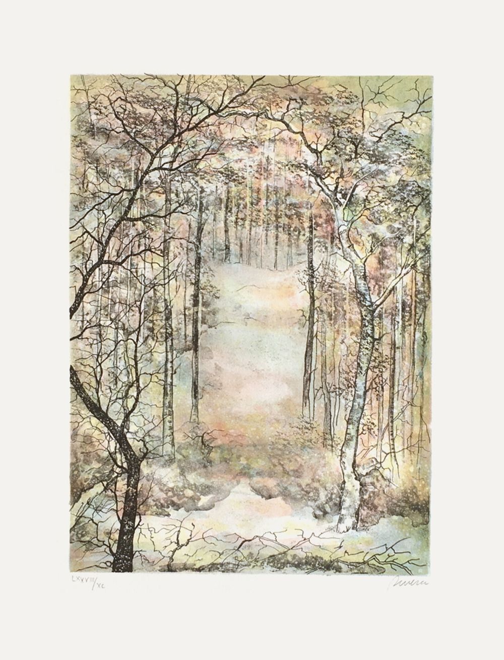 Neige en forêt