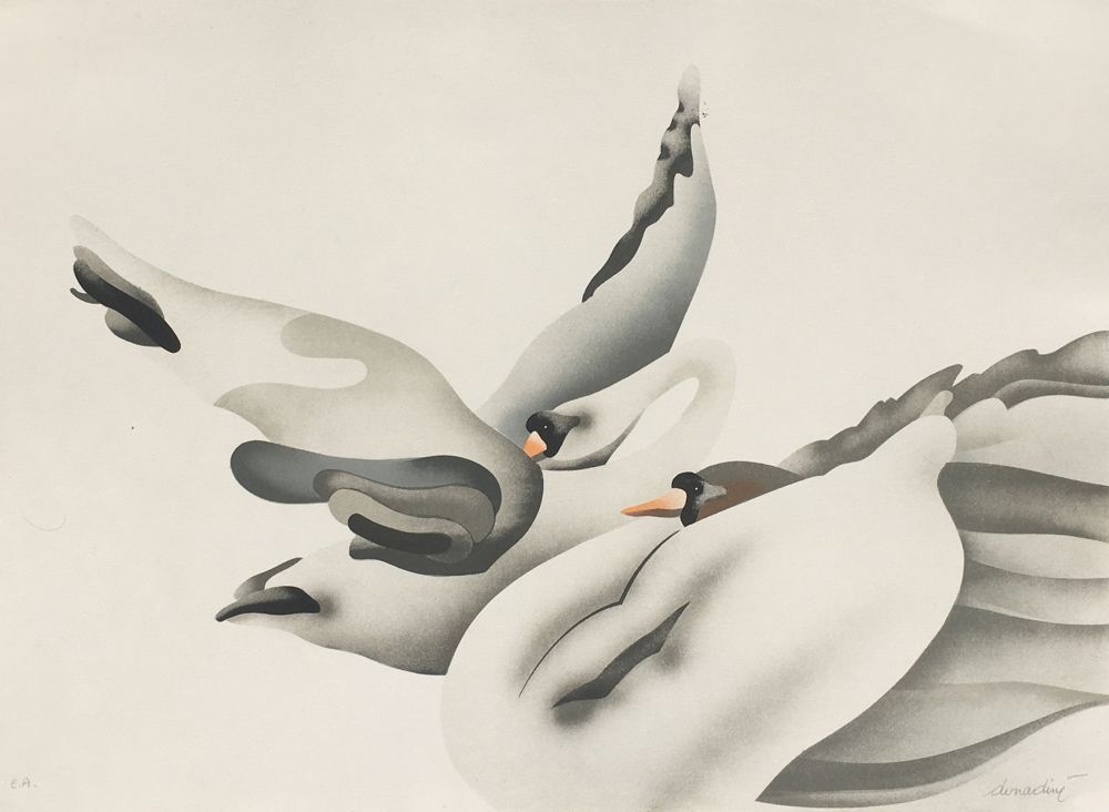 Les cygnes