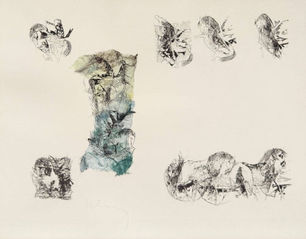 Horses (complete portfolio with 27 lithographs and etchings) — vue 6