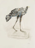 Poulette