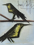 BL serie - Les deux oiseaux