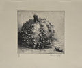 Coloquinte et insecte mort