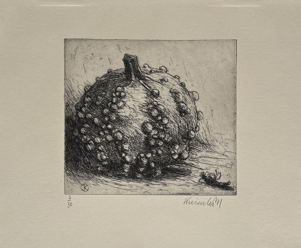 Coloquinte et insecte mort