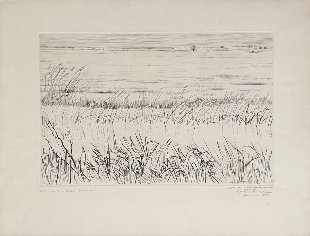 Près de Saint Joachim en Brière