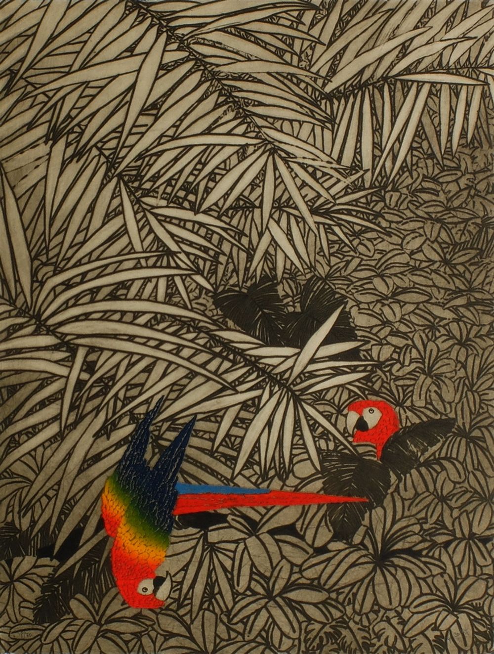 Les perroquets I