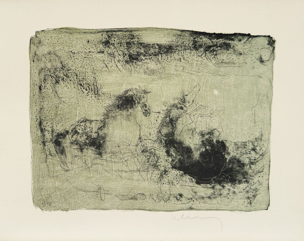 Horses (complete portfolio with 27 lithographs and etchings) — vue 4
