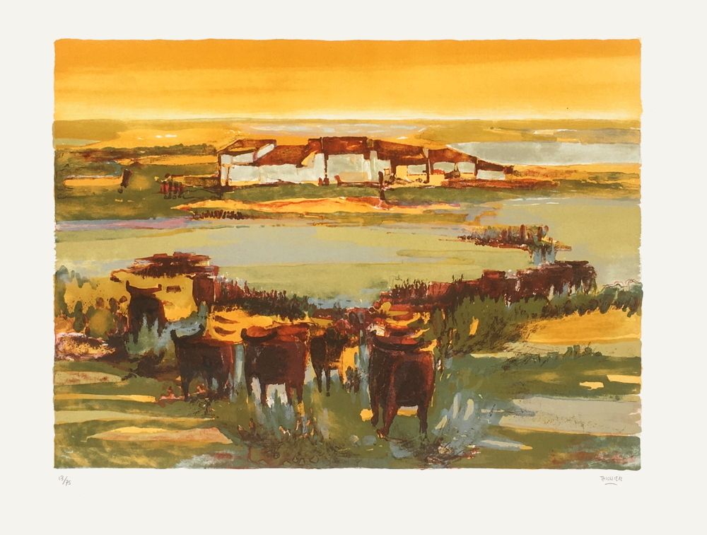 En Camargue I