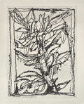 Composition 186