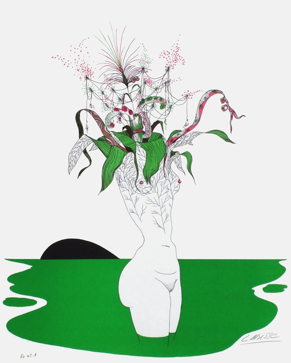 Histoire naturelle : l'Ophélie