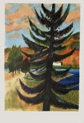Le sapin du lac