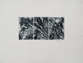 Composition 88-16