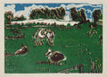 Vaches sans raison