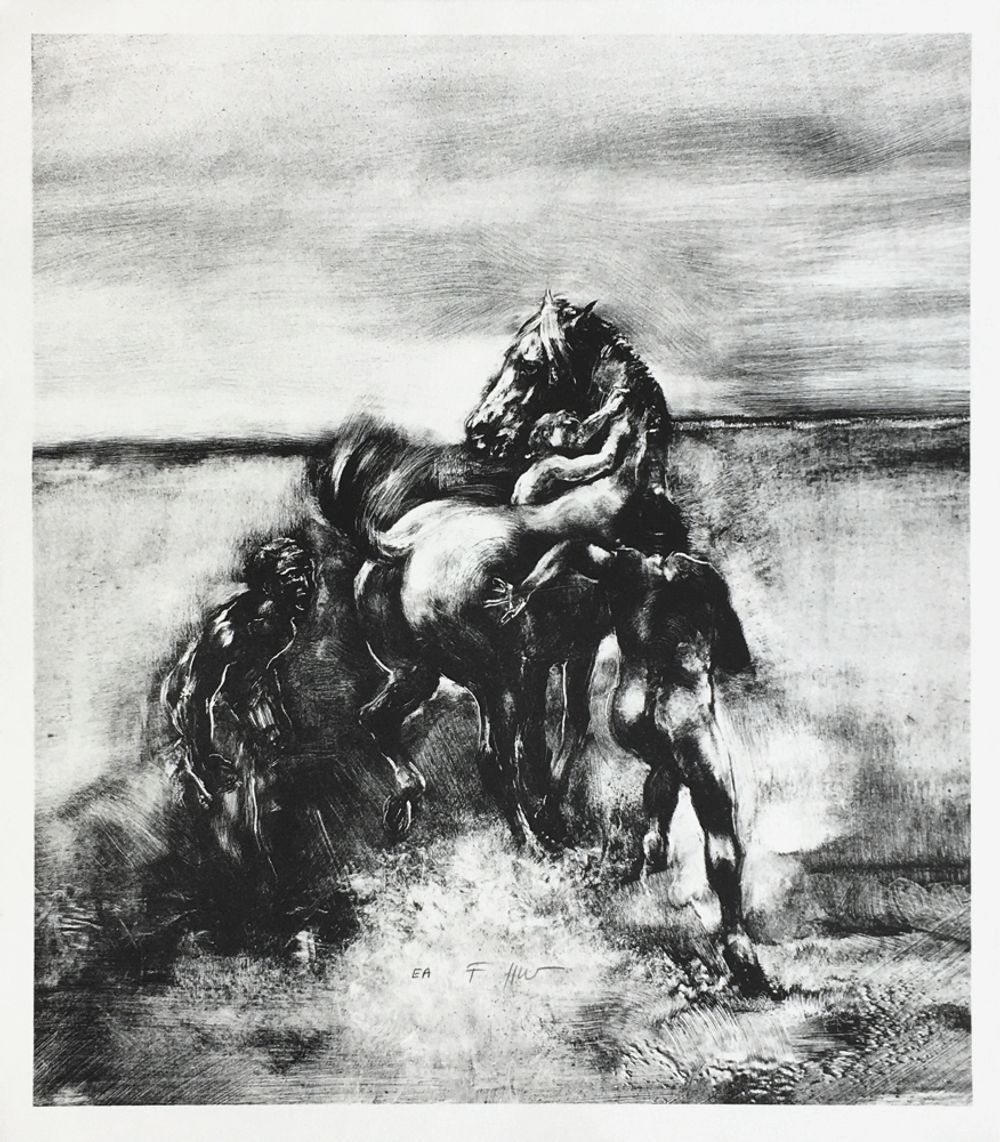 Chevaux sauvages