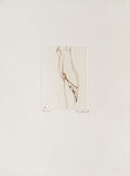Composition 81-10