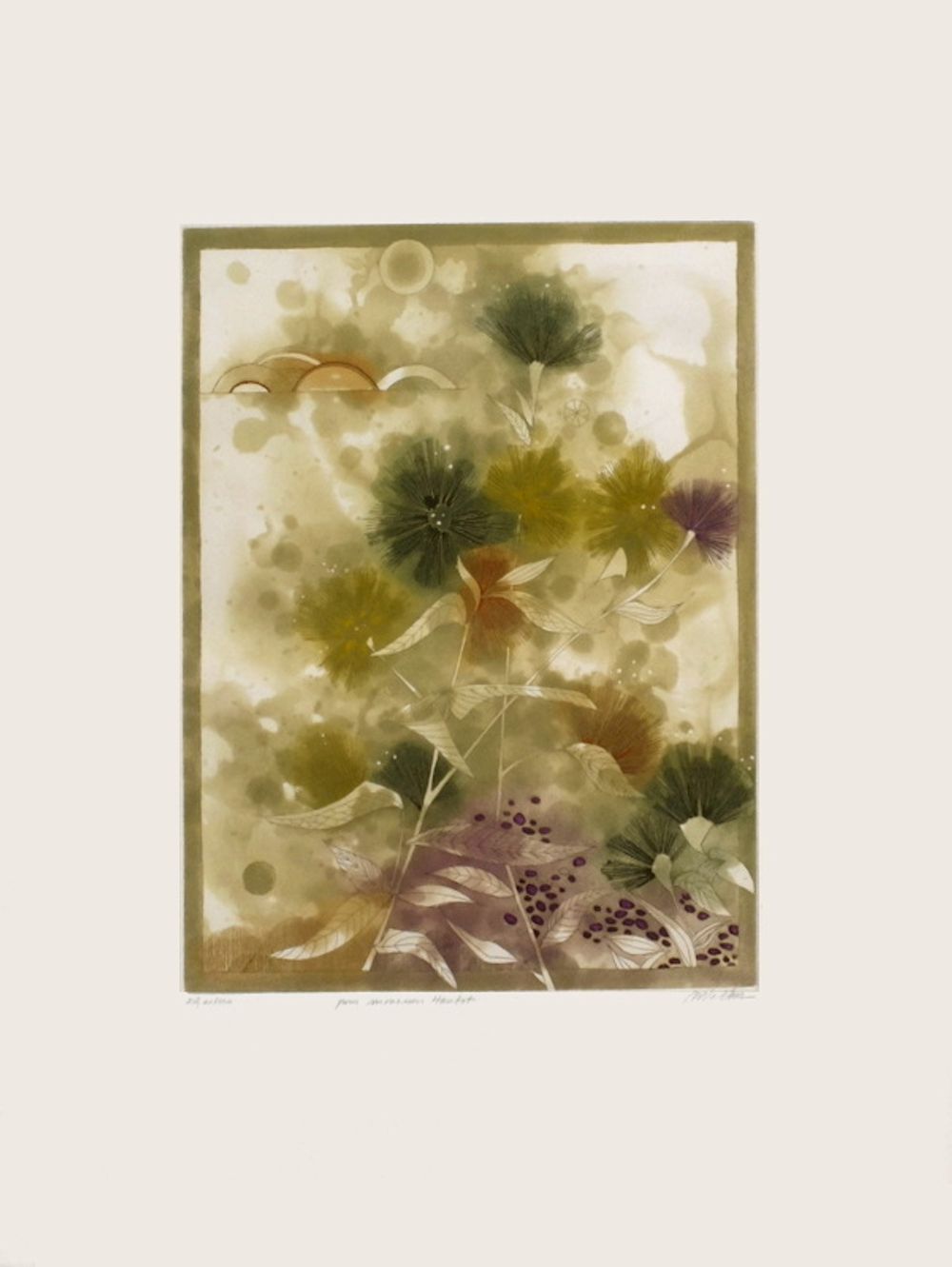 Asters