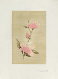 Eglantine