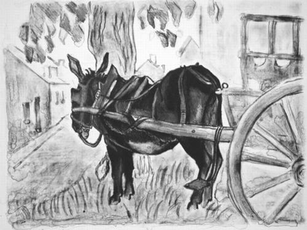 Ane à la charrette
