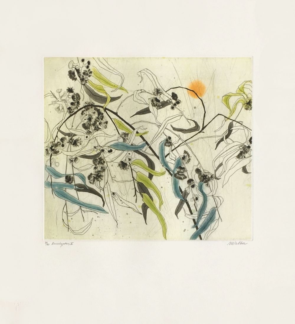Eucalyptus II