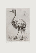 L'autruche