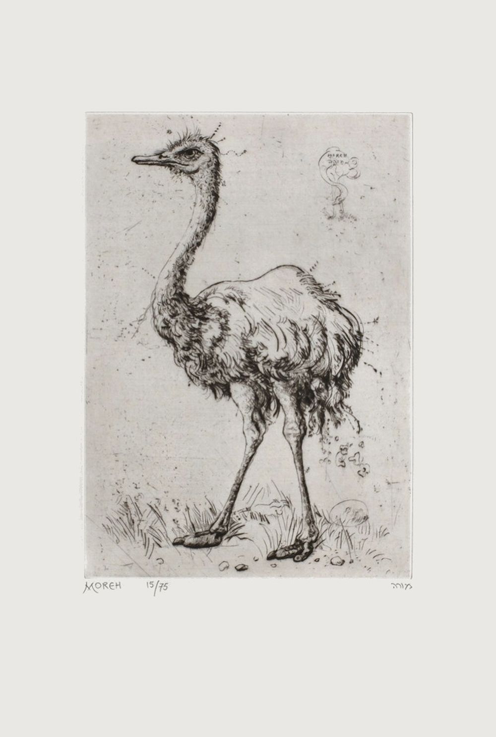 L'autruche