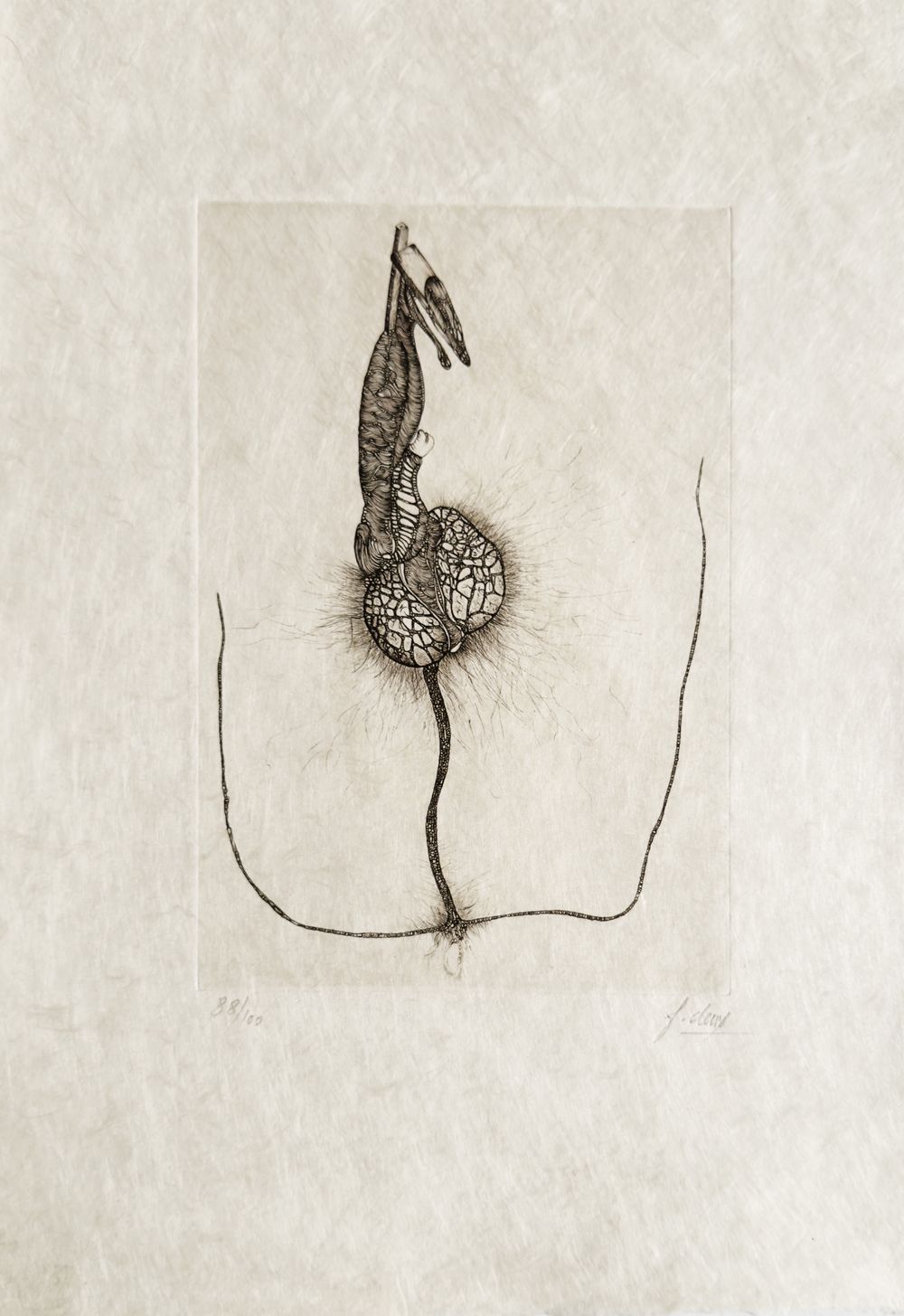 Extroït - 12 gravures signées — vue 6