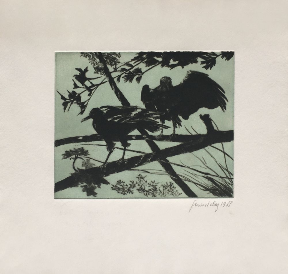 Oiseaux I