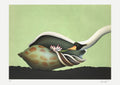 Le cygne et le coquillage