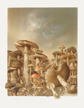 La randonnée