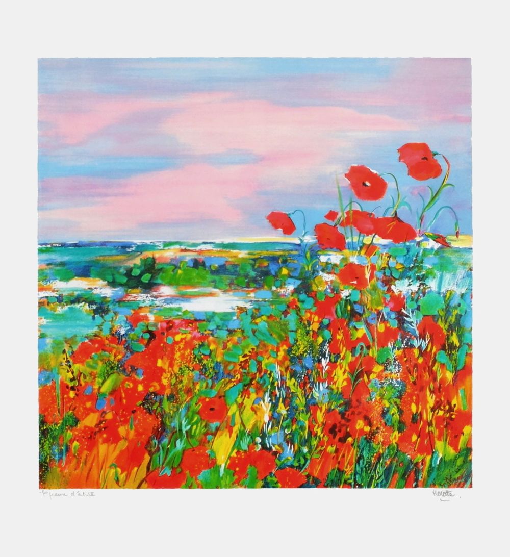Champ de coquelicots
