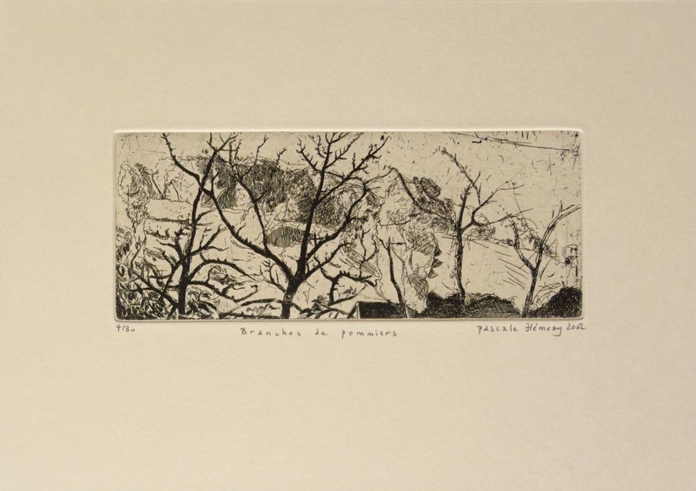 Branches de pommiers