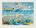 Camargue - Les flamants roses