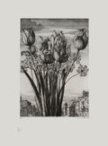 Les tulipes