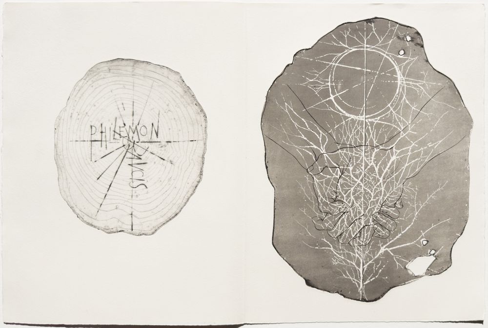 Métamorphoses - 20 gravures in texte + suite — vue 7
