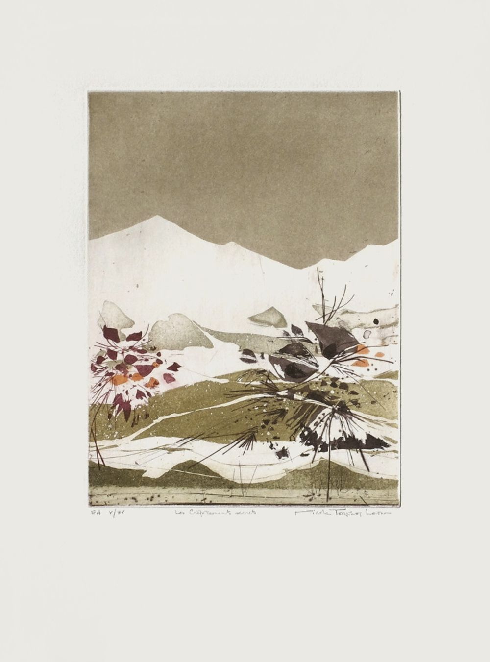 Nicole TERCINET LEVIN