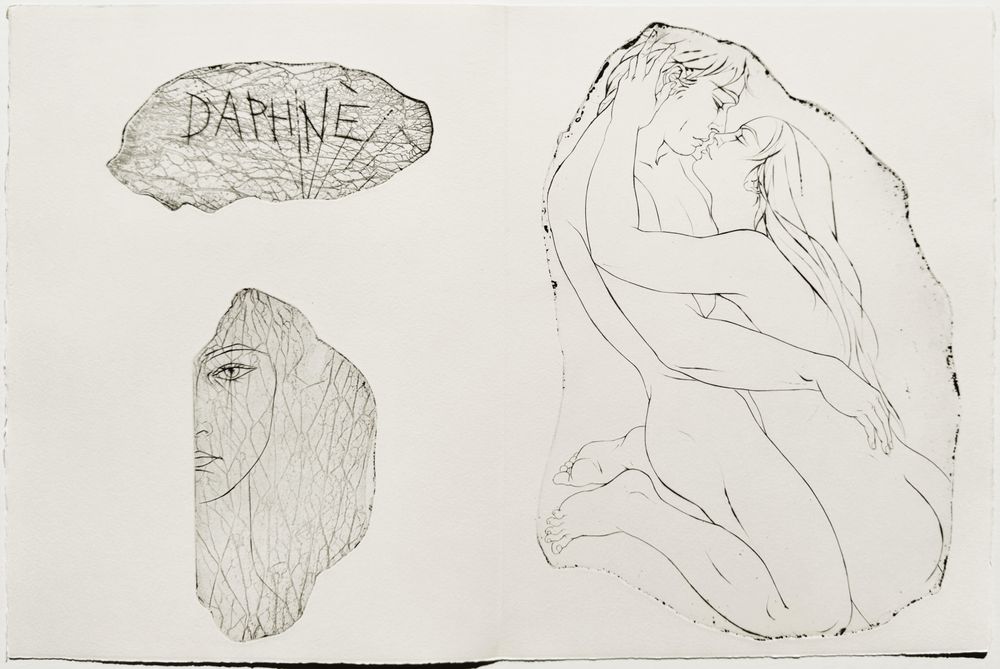 Métamorphoses - 20 gravures in texte + suite — vue 8