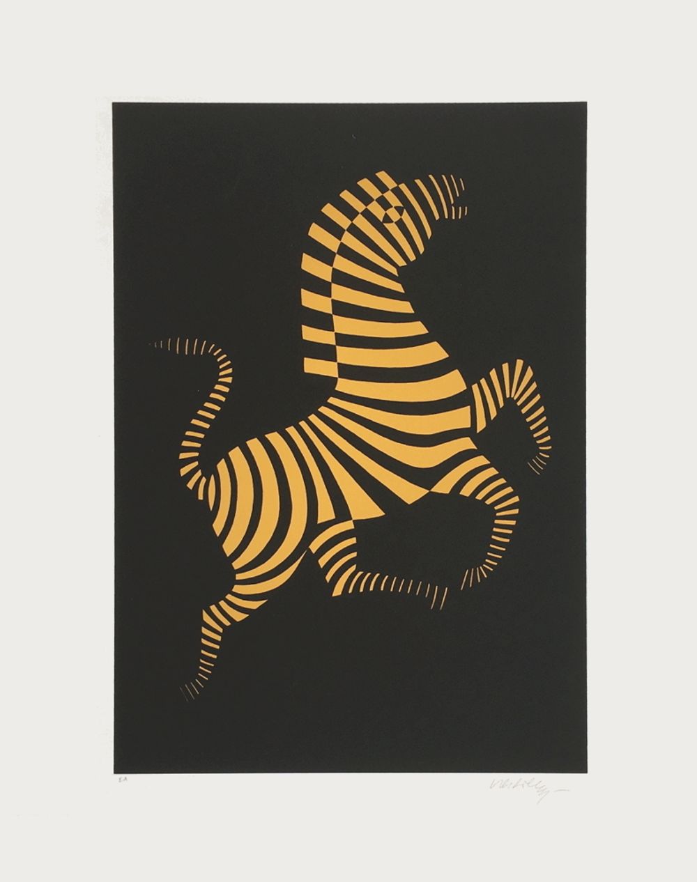 11 + 1 album - Zebra 0
