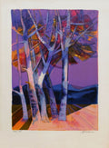 Les alpilles