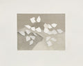 Feuilles grises
