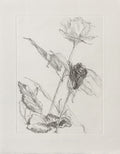 Deux roses