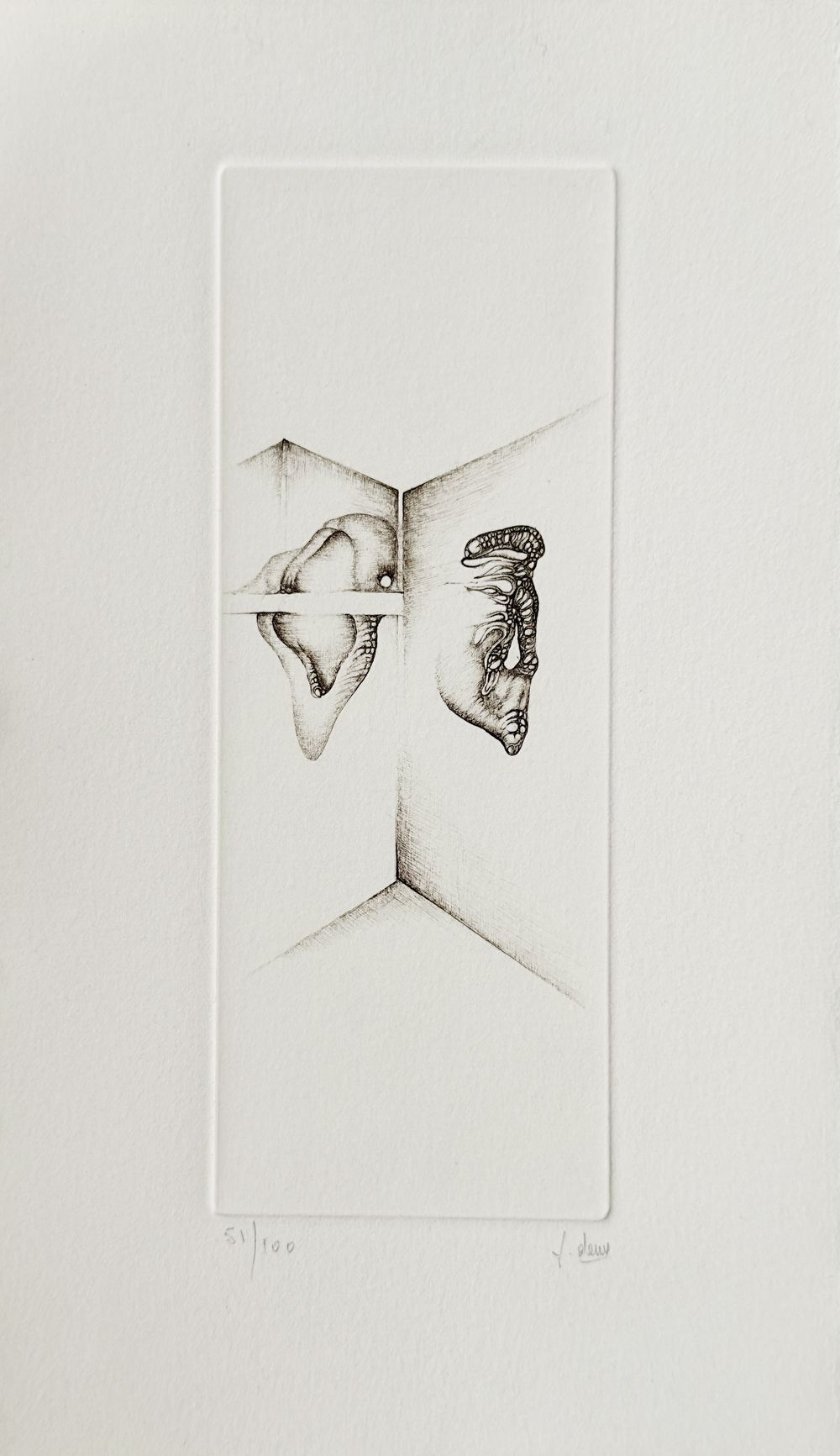 Gris IV