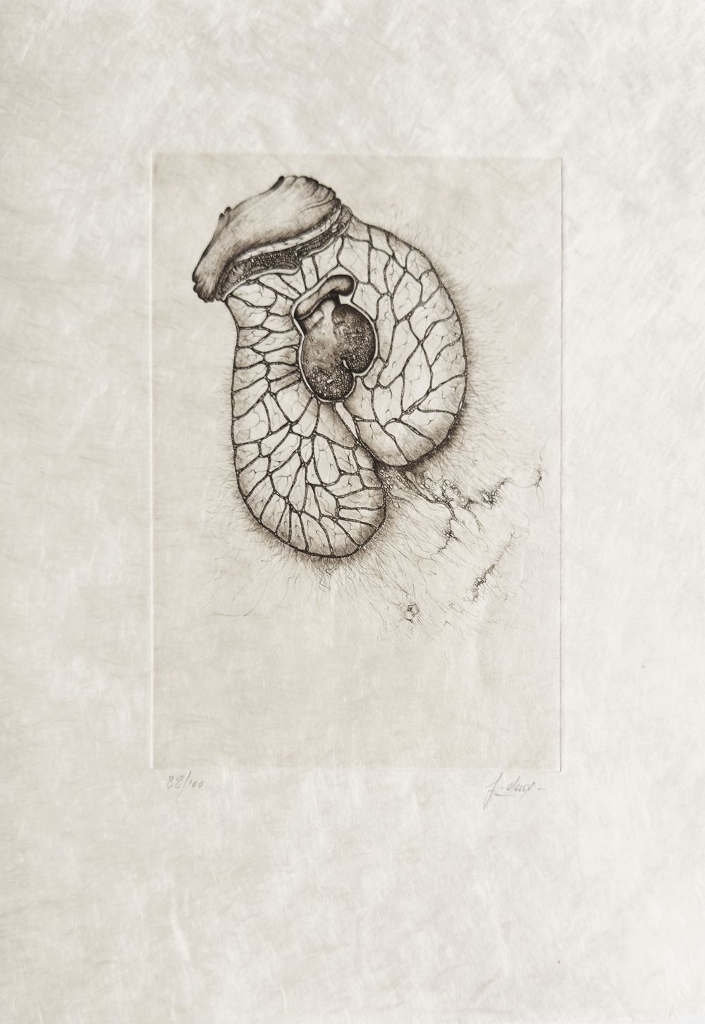 Extroït - 12 gravures signées — vue 9